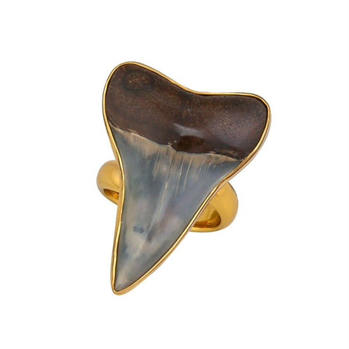 Alchemia Fossil Shark Tooth Adjustable Ring AR-6193