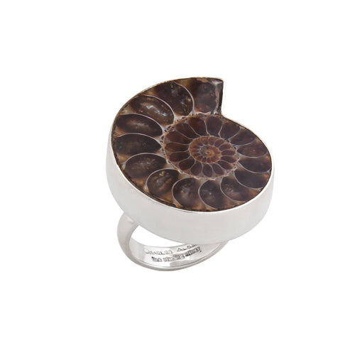 Sterling Silver Ammonite Adjustable Ring SR-6168