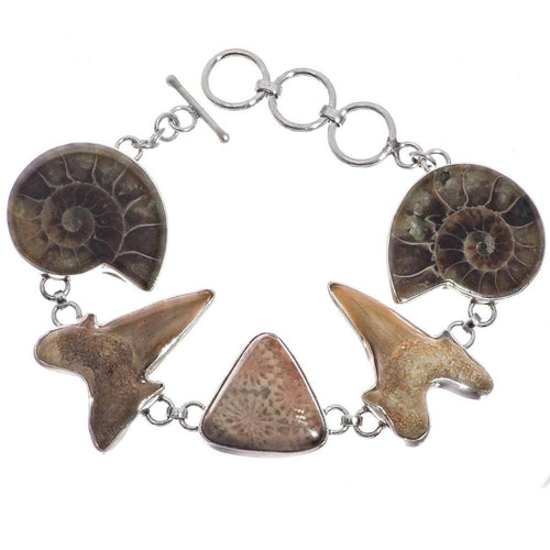 925 Shark Ammonite Fossil Bracelet