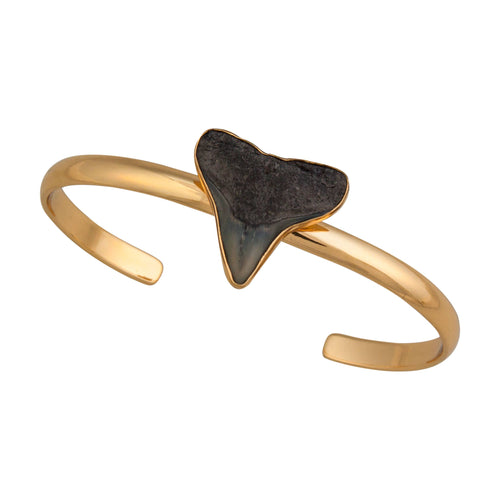 Alchemia Fossil Shark Tooth Cuff