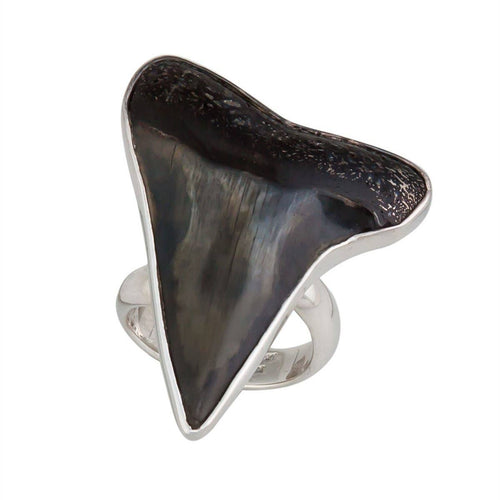 Sterling Silver Fossil Shark Tooth Adjustable Ring