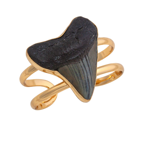 Alchemia Fossil Shark Tooth Double Band Cuff