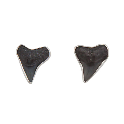 Sterling Silver Shark Teeth Post Earrings