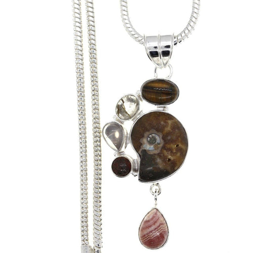 N Fossil Sd Ammonite P1768