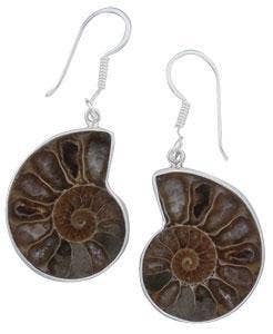 Sterling Silver Ammonite Drop Earrings SE-6180-D