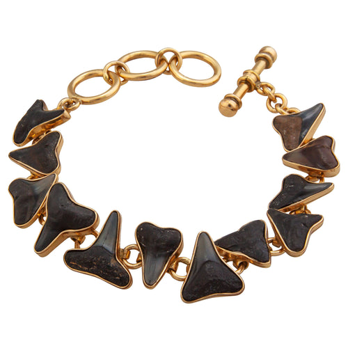 Alchemia Fossil Shark Teeth Bracelet AB-6191