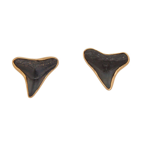 Alchemia Fossil Shark Teeth Post Earrings