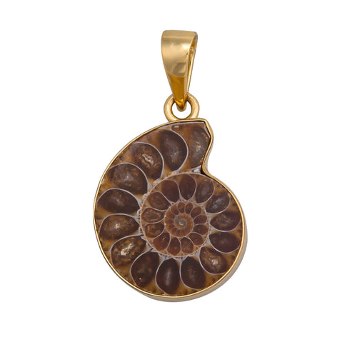 Alchemia Ammonite Pendant on Twist Chain