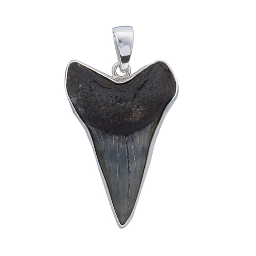 Sterling Silver Fossil Shark Tooth Pendant